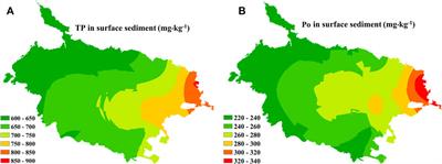 Organic Phosphorus Mineralization Dominates the Release of Internal Phosphorus in a Macrophyte-Dominated Eutrophication Lake